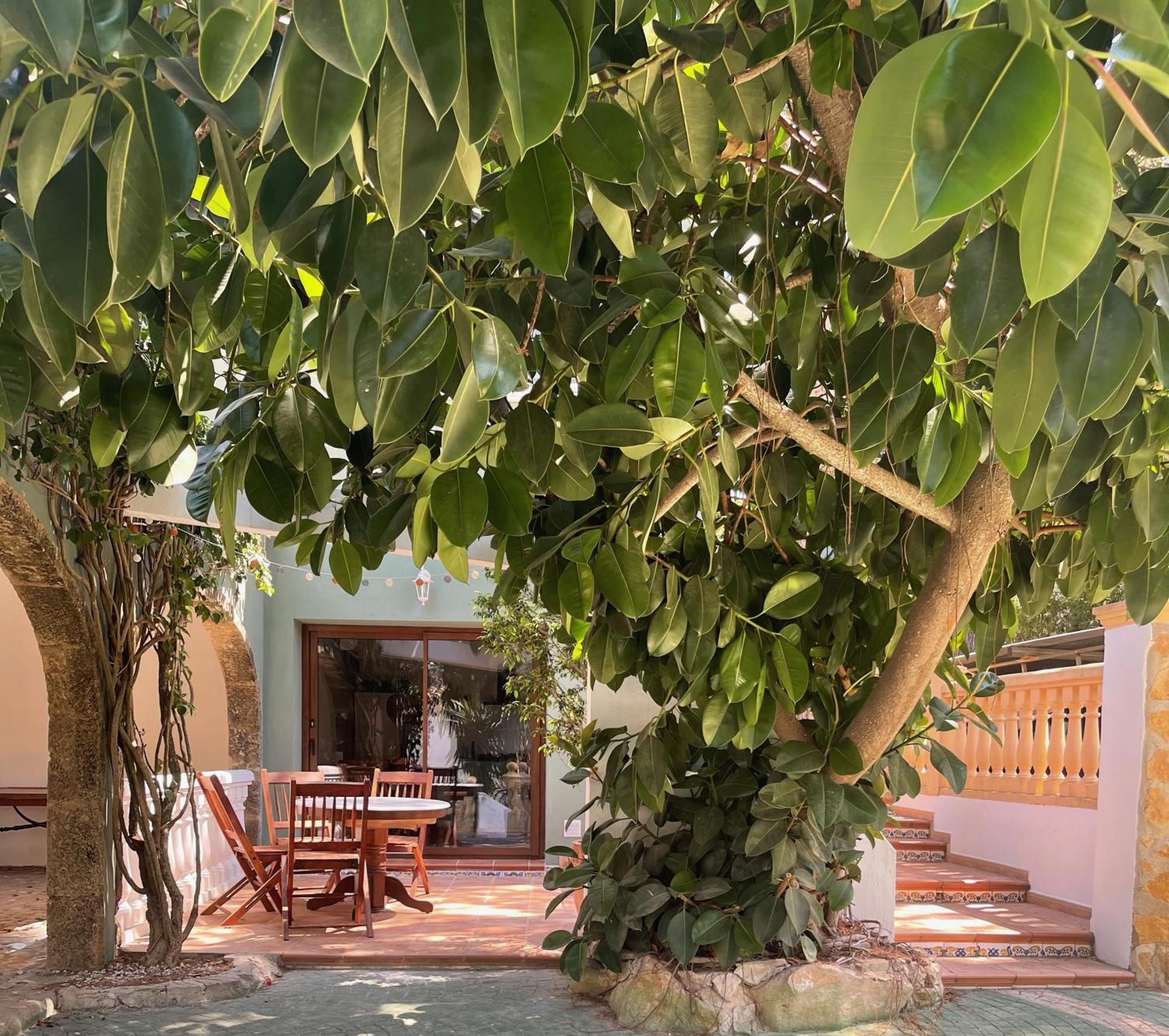 La Posada Paradiso Javea Ngoại thất bức ảnh
